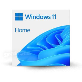 Microsoft Windows 11 Home MULTI ESD