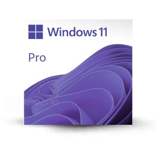 Microsoft Windows 11 Pro Multi (wszystkie języki) ESD